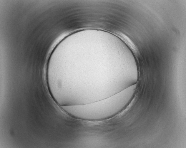 X0000116661196201001041104