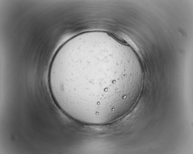 X0000116661197201001041104