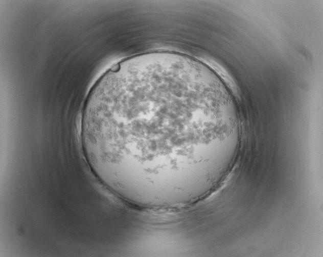 X0000116661198201001041104