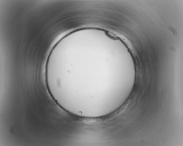 X0000116661199201001041104