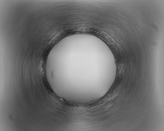 X0000116661202201001041103