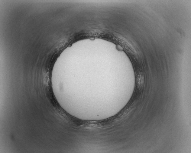 X0000116661204201001041103