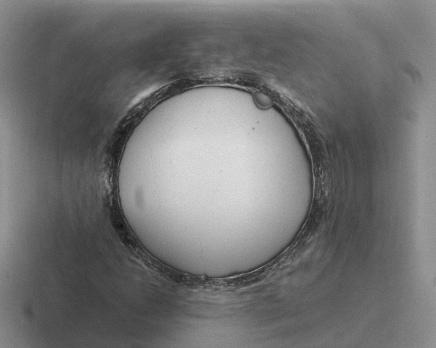 X0000116661206201001041103