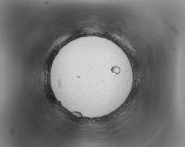 X0000116661207201001041103