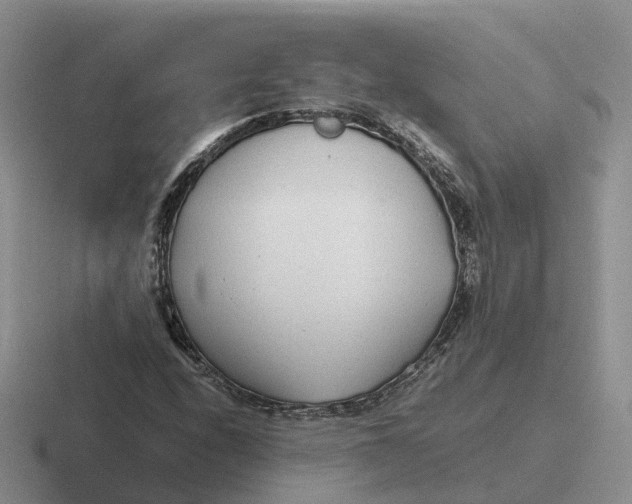 X0000116661208201001041103