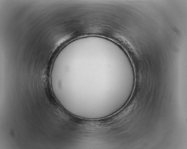 X0000116661210201001041103