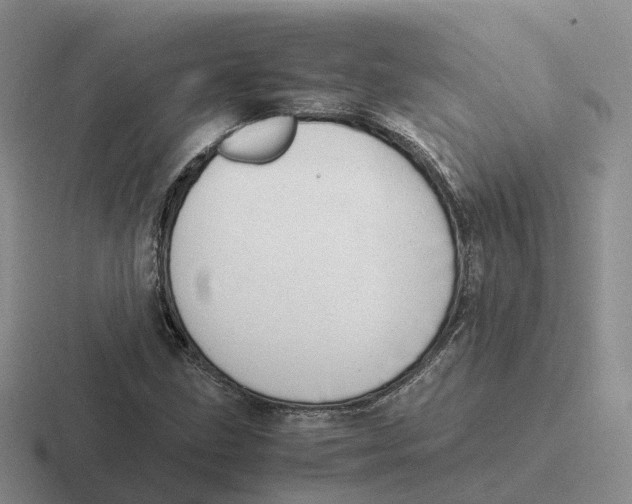 X0000116661211201001041103