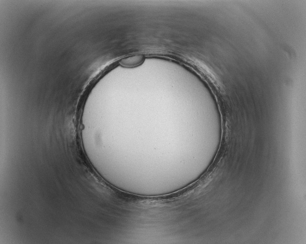 X0000116661212201001041103