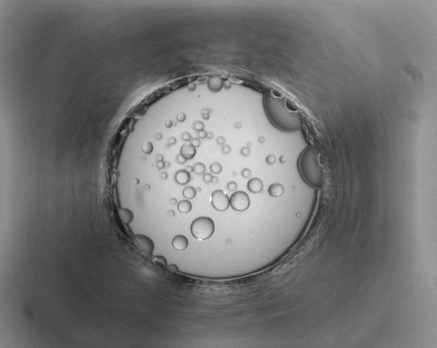 X0000116661215201001041103