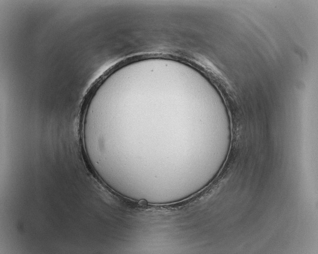 X0000116661216201001041103