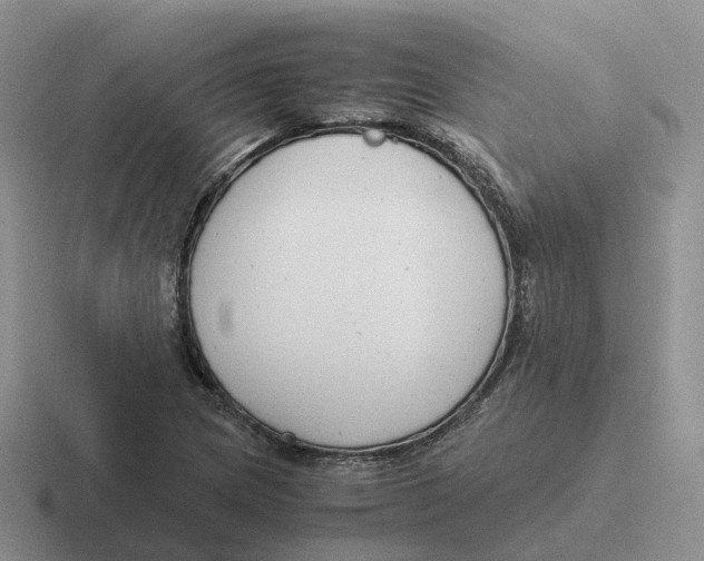 X0000116661217201001041103