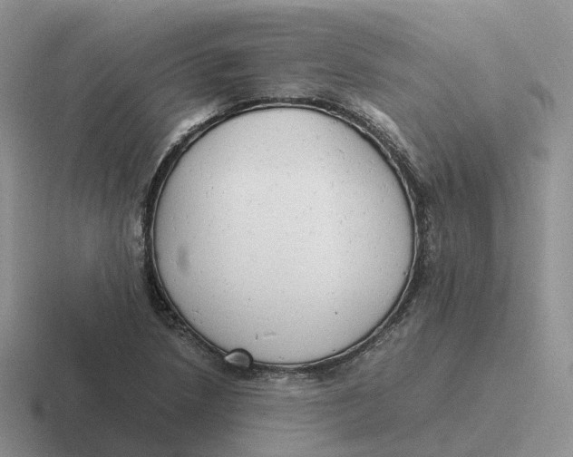 X0000116661218201001041103