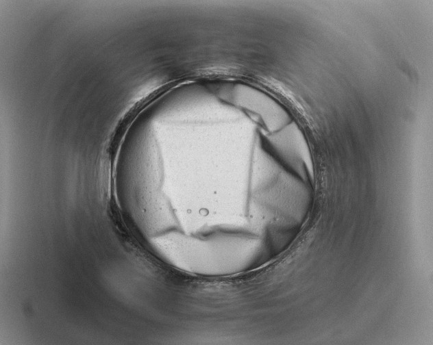 X0000116661219201001041103