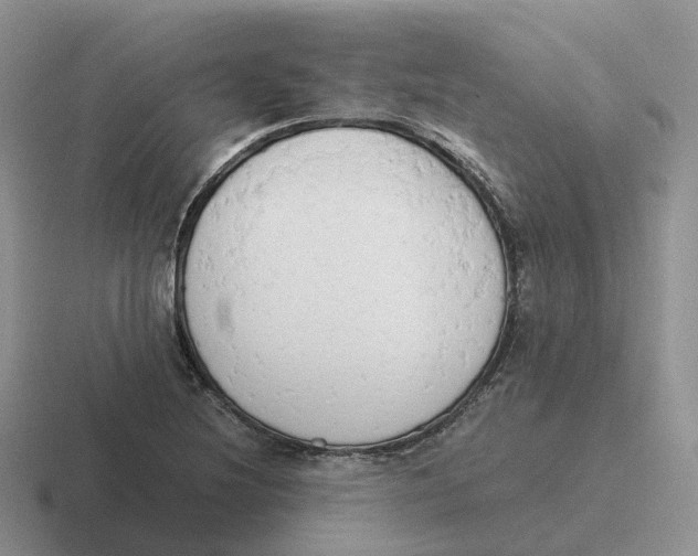 X0000116661220201001041103