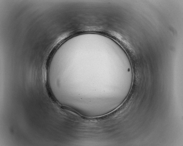 X0000116661221201001041103