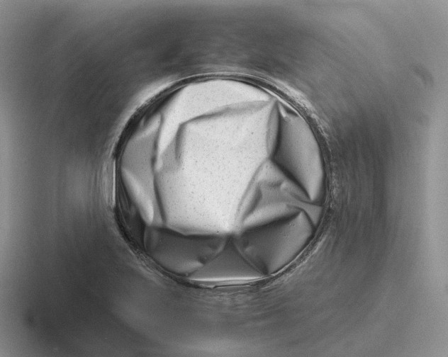 X0000116661223201001041103