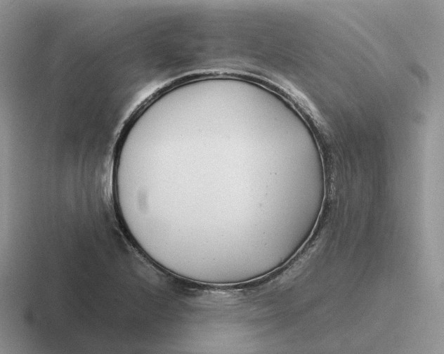 X0000116661224201001041103