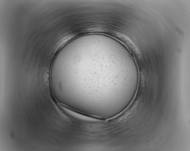 X0000116661225201001041103