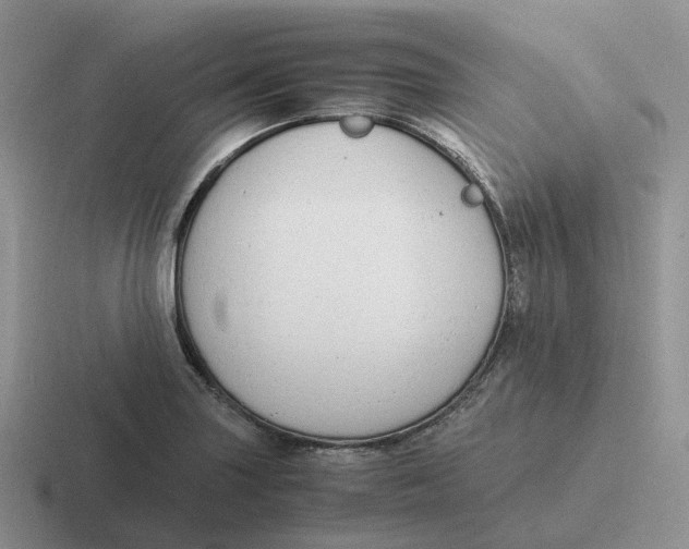 X0000116661227201001041103