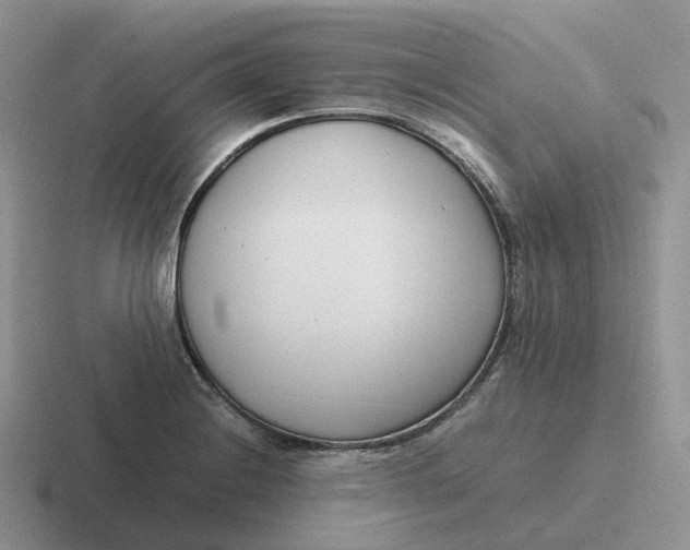 X0000116661228201001041103