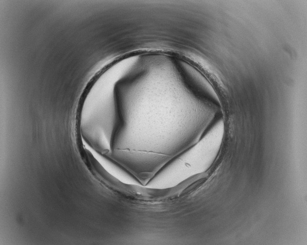 X0000116661229201001041103