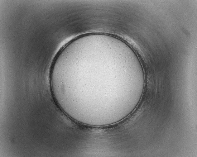 X0000116661230201001041103