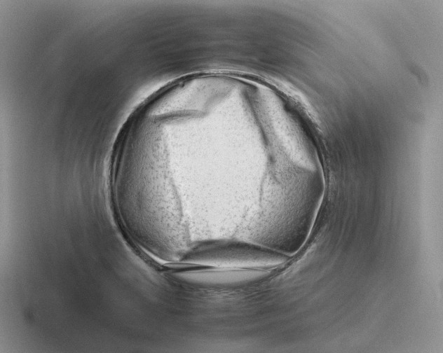 X0000116661231201001041103