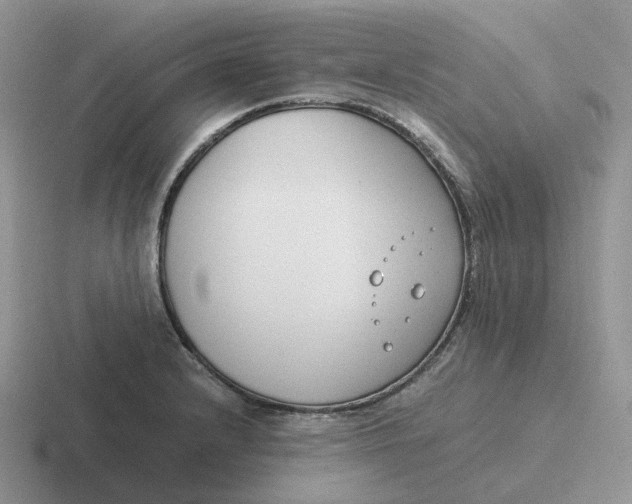 X0000116661232201001041103