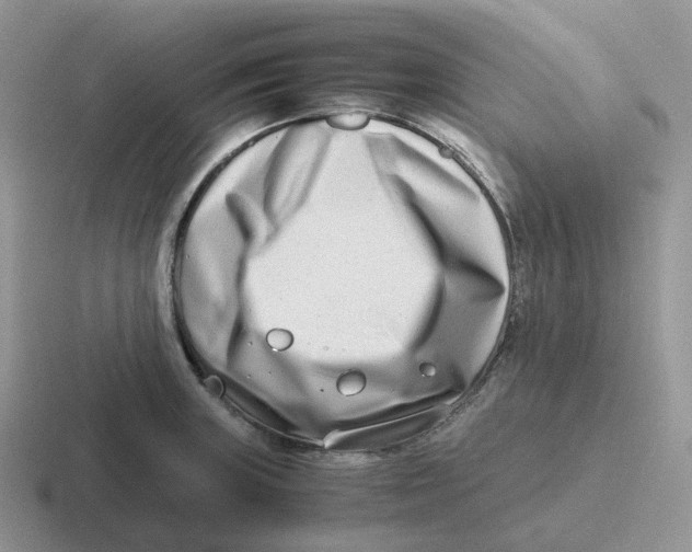 X0000116661235201001041104