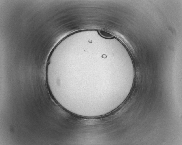 X0000116661236201001041104