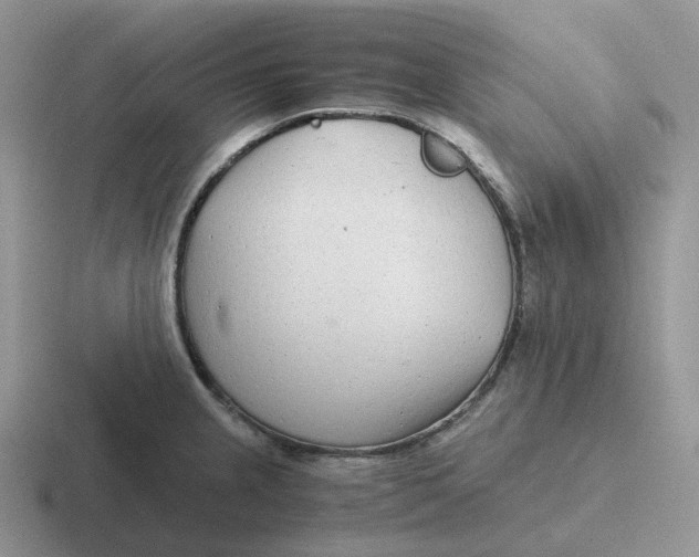 X0000116661237201001041104