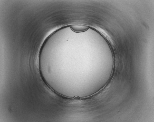 X0000116661238201001041104