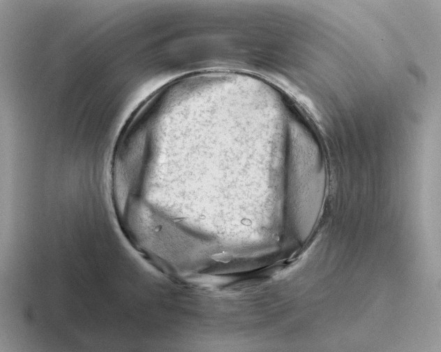 X0000116661239201001041104