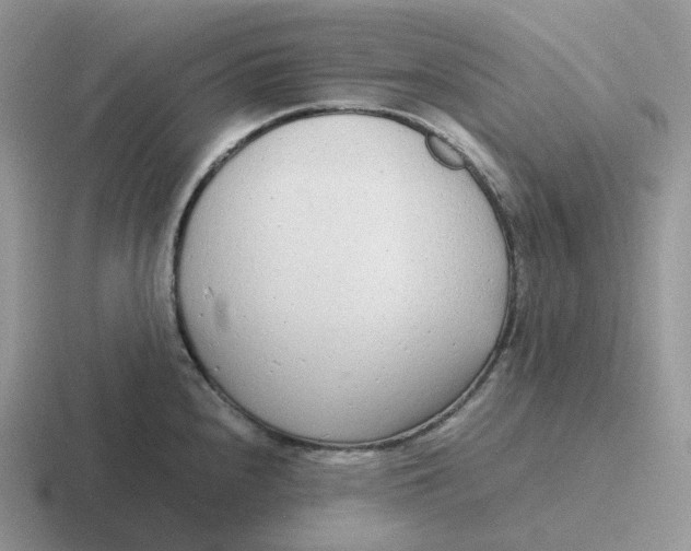 X0000116661240201001041104