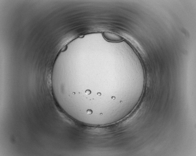 X0000116661241201001041104