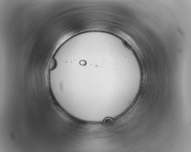 X0000116661242201001041104