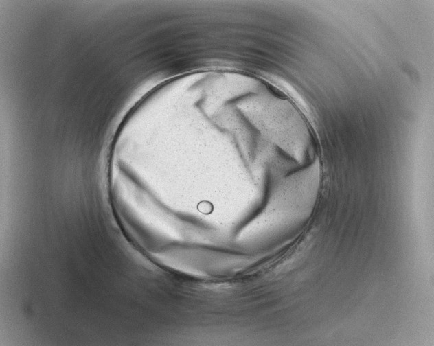 X0000116661243201001041104