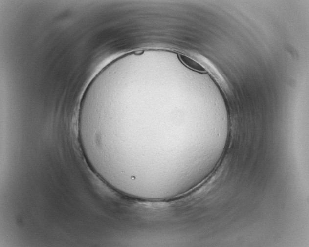 X0000116661244201001041104