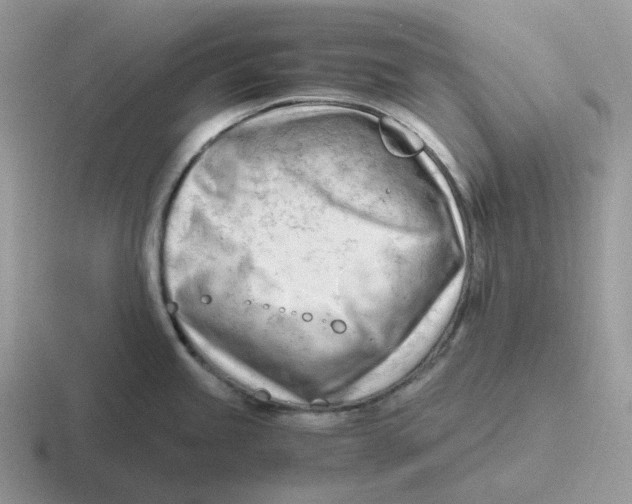 X0000116661245201001041104