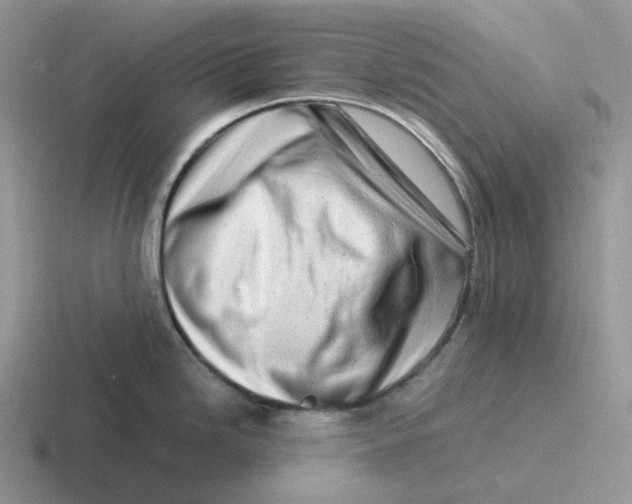 X0000116661246201001041104