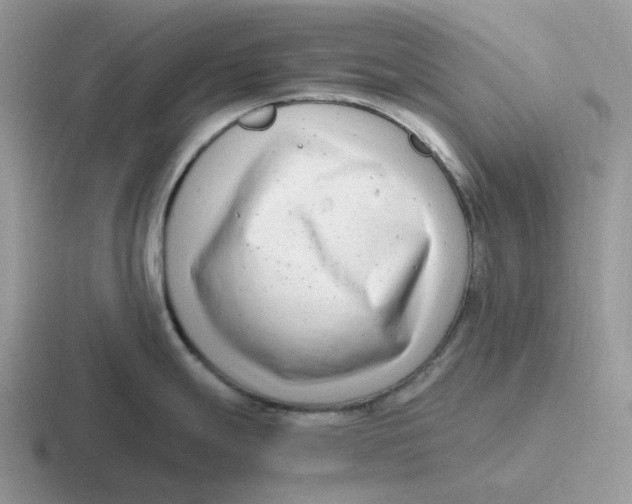 X0000116661247201001041104