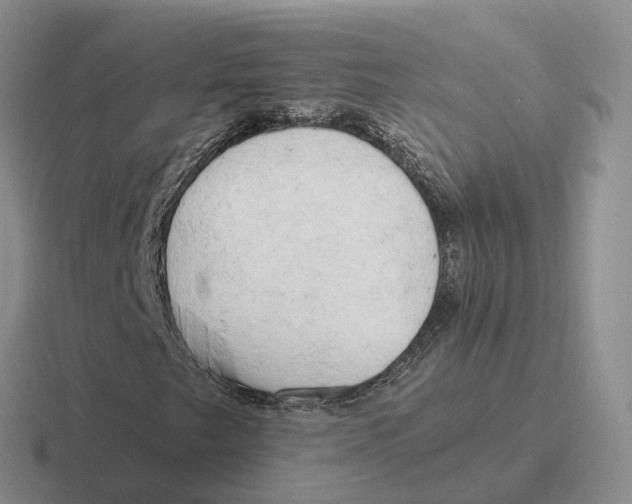 X0000116661249201001041103