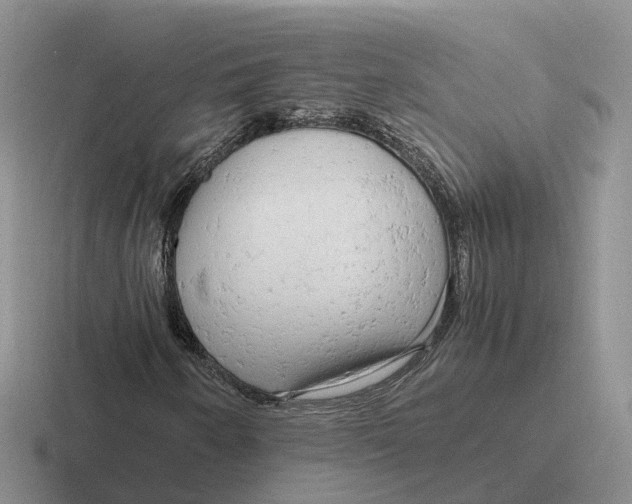 X0000116661250201001041103