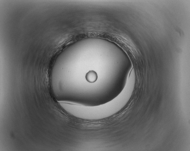 X0000116661252201001041103