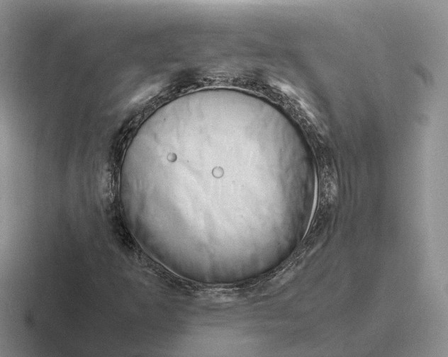 X0000116661253201001041103