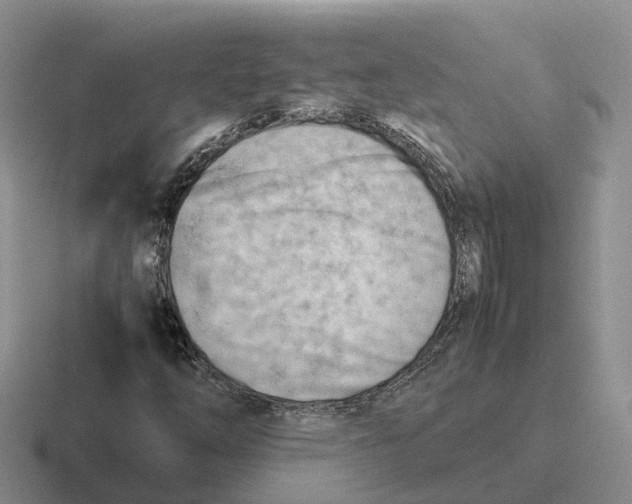 X0000116661254201001041103