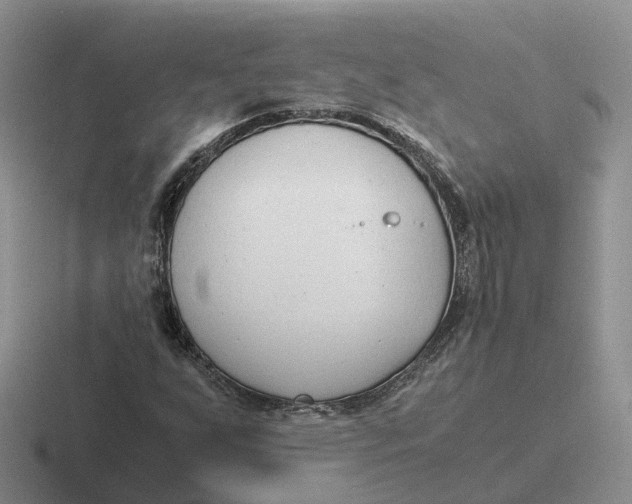 X0000116661255201001041103