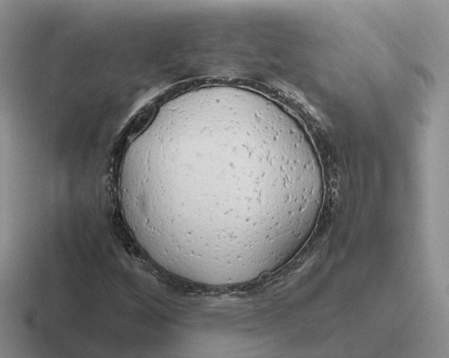 X0000116661256201001041103