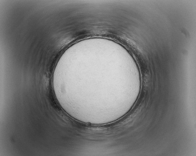 X0000116661257201001041103