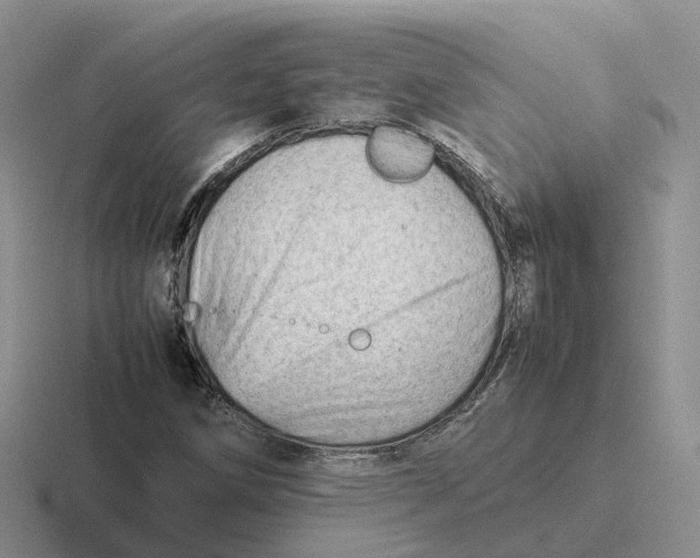 X0000116661258201001041103